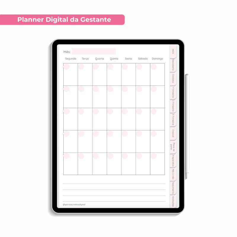 Planner Digital da Gestante Versão Teste - Imagem 7